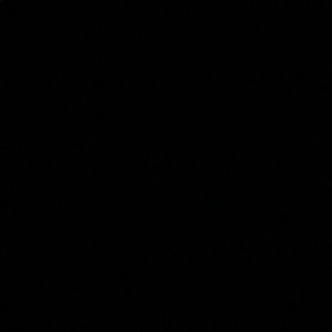 Meet your Posher, Mia